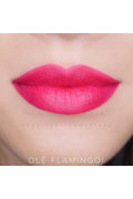 Buy Bourjois Rouge Edition Velvet Lipstick - 05 Ole Flamingo online in Pakistan. 100% Authentic produc at Glamivo.pk. Fast shipping with cash on delivery