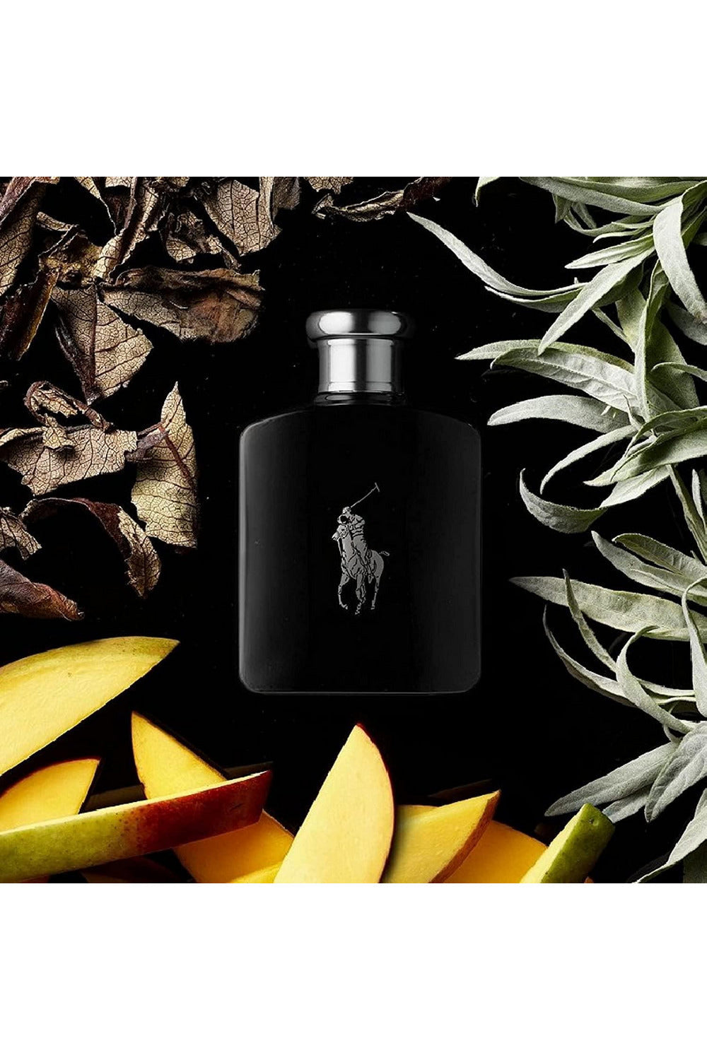 Buy Ralph Lauren Polo Black Men EDT - 125ml online in Pakistan. 100% Authentic produc at Glamivo.pk. Fast shipping with cash on delivery